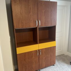 Bookcase/Vinyl Record Cabinet