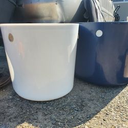 Kitty Litter 