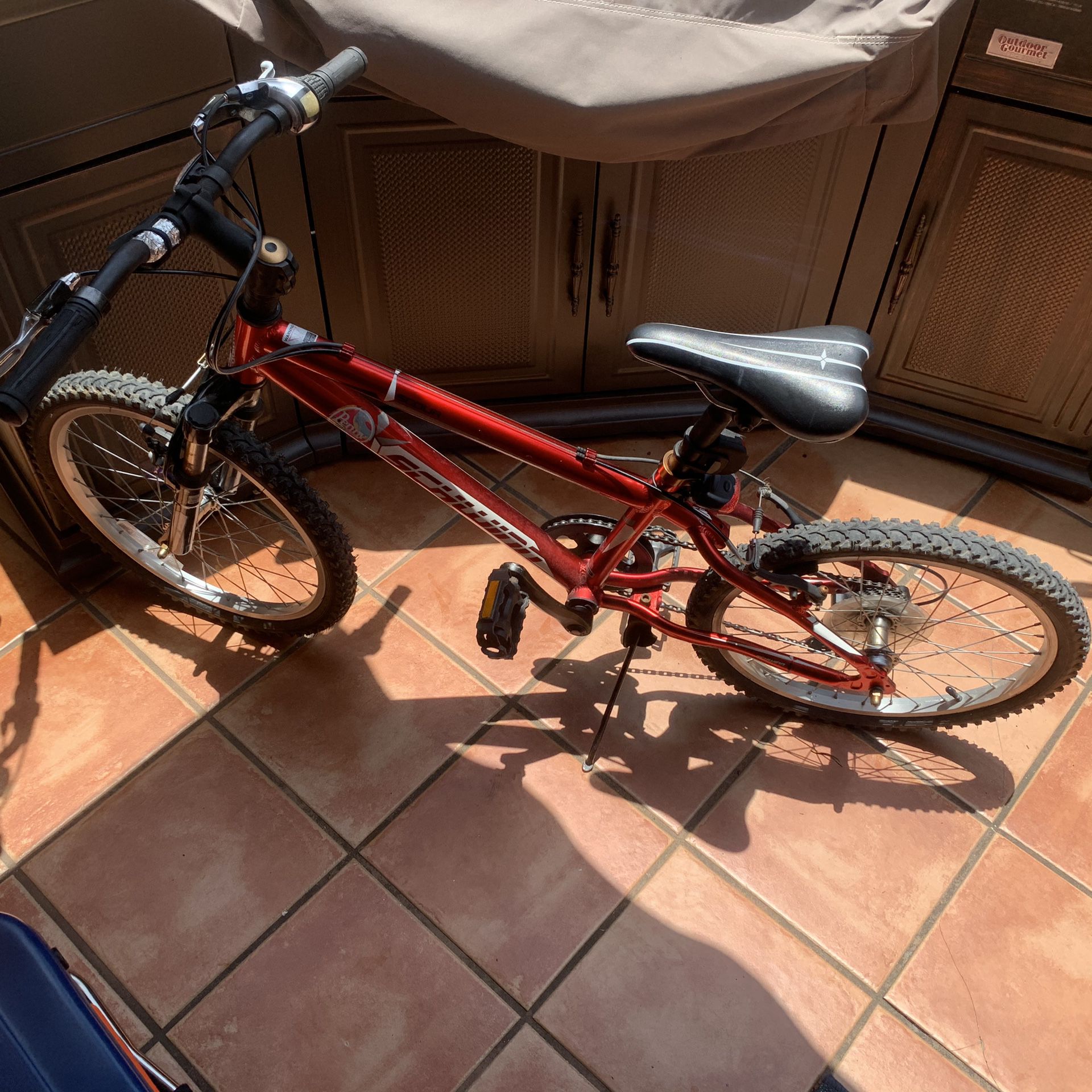 Scwinn 20” Boys Mountain bike perfect for 7-10 year old.