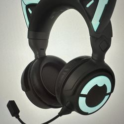 Brand New Wireless Cat Ear Headphones 