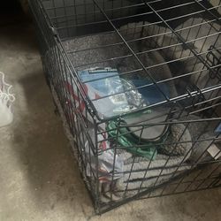 Dog Crate And Food 