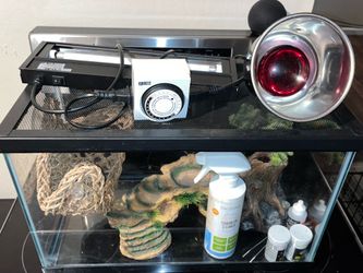 Bearded Dragon Reptile Enclosure