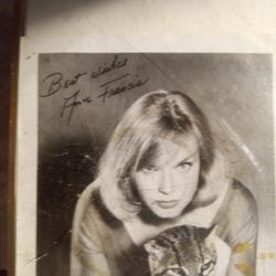 Rare Anne Francis Phantom Movie Pic Signed 