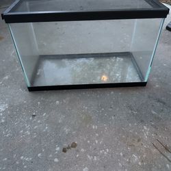 10 Gallon Tank With Lid