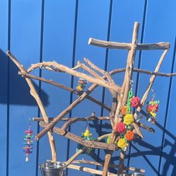 Parrot Perch Tree… All Custom Made In Rustic Artsy Ribbon Wood 🪵 ( Lasts For Years ).., Lots Of Birdee Fun … ❤️