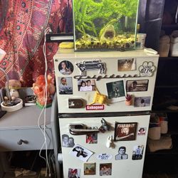 Mini Fridge!