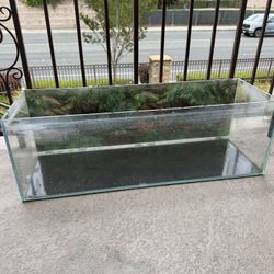 20 GALLON RECTANGULAR FISH TANK