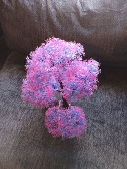 $14
