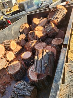 Firewood free