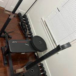 Weight Bench