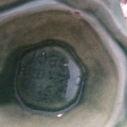 Antique Vase ..Color Green