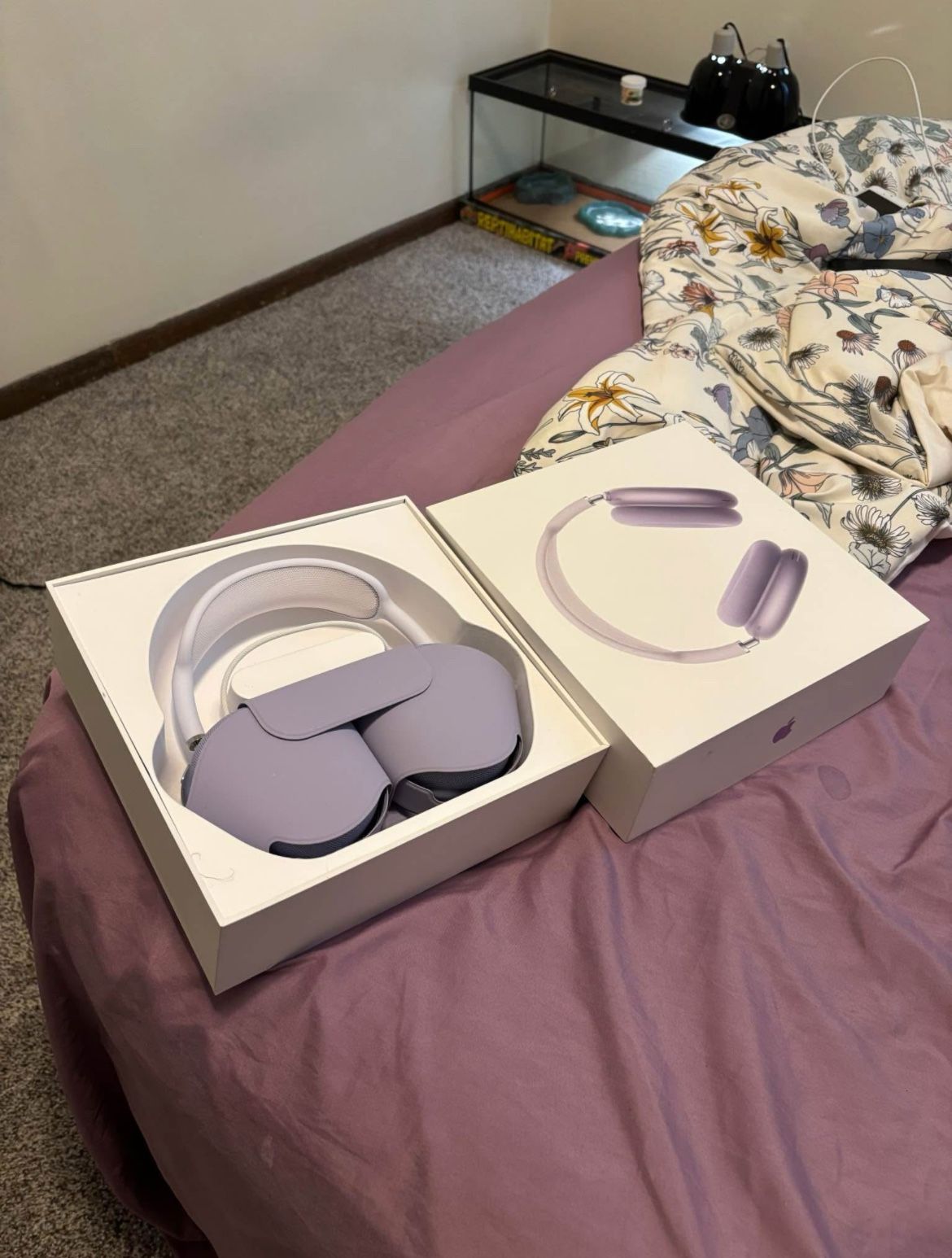 New AirPod Maxes Purple USB-B