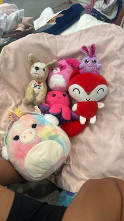 Random Stuffy Bundle