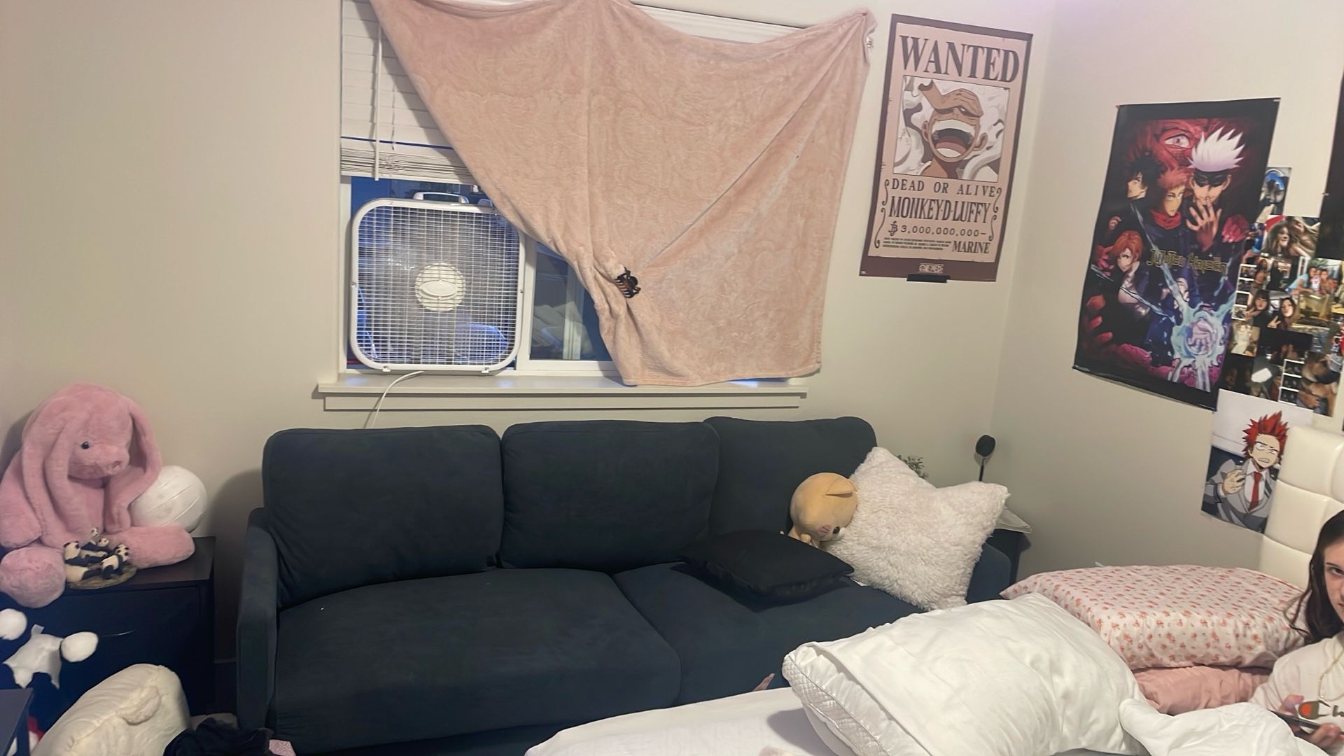 New couch