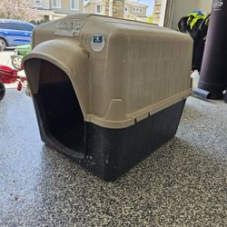 Dog House 