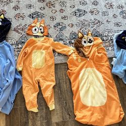 Bluey family costumes 