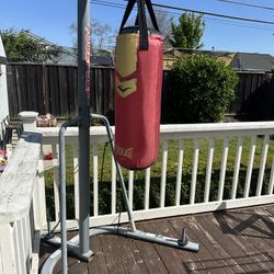 Punching bag 