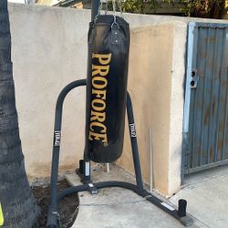Punching Bag With Stad