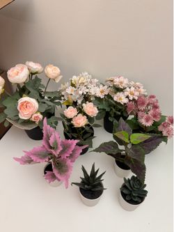 Free IKEA fake plants
