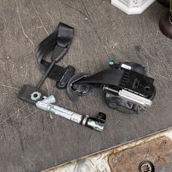 Seatbelt Assembly 