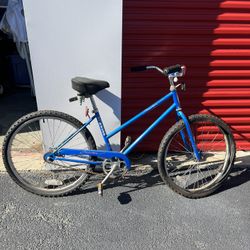 Vintage Schwinn Cruiser 1980s bike