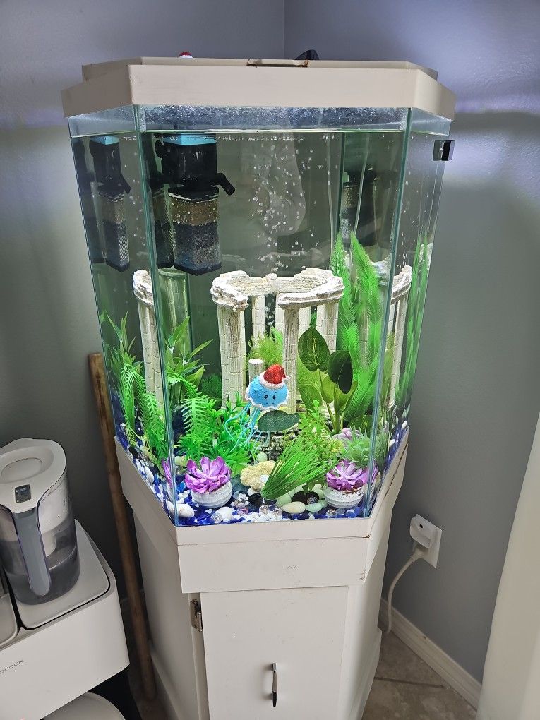 Complete Fishing Tank