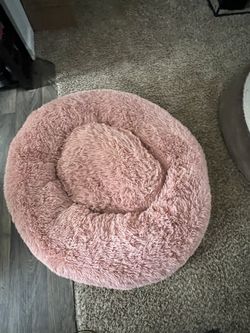 Dog Bed 