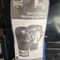 12oz Everlast Boxing Gloves