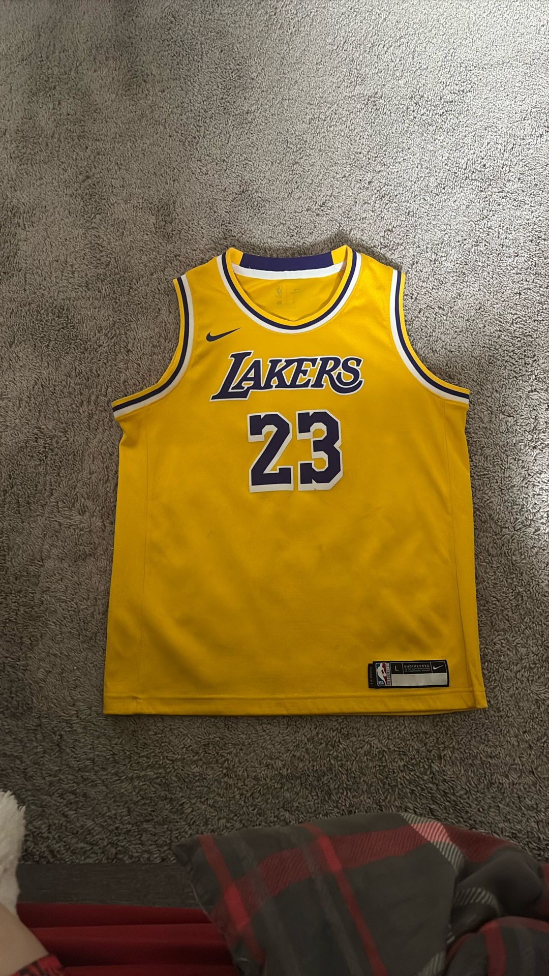 LeBron James Laker Jersey Youth