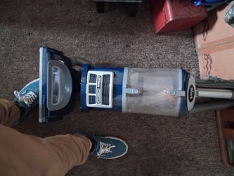 Shark vacuum