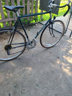 Raleigh Bike size 700c