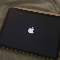 brand new ipad it’s only shipping 