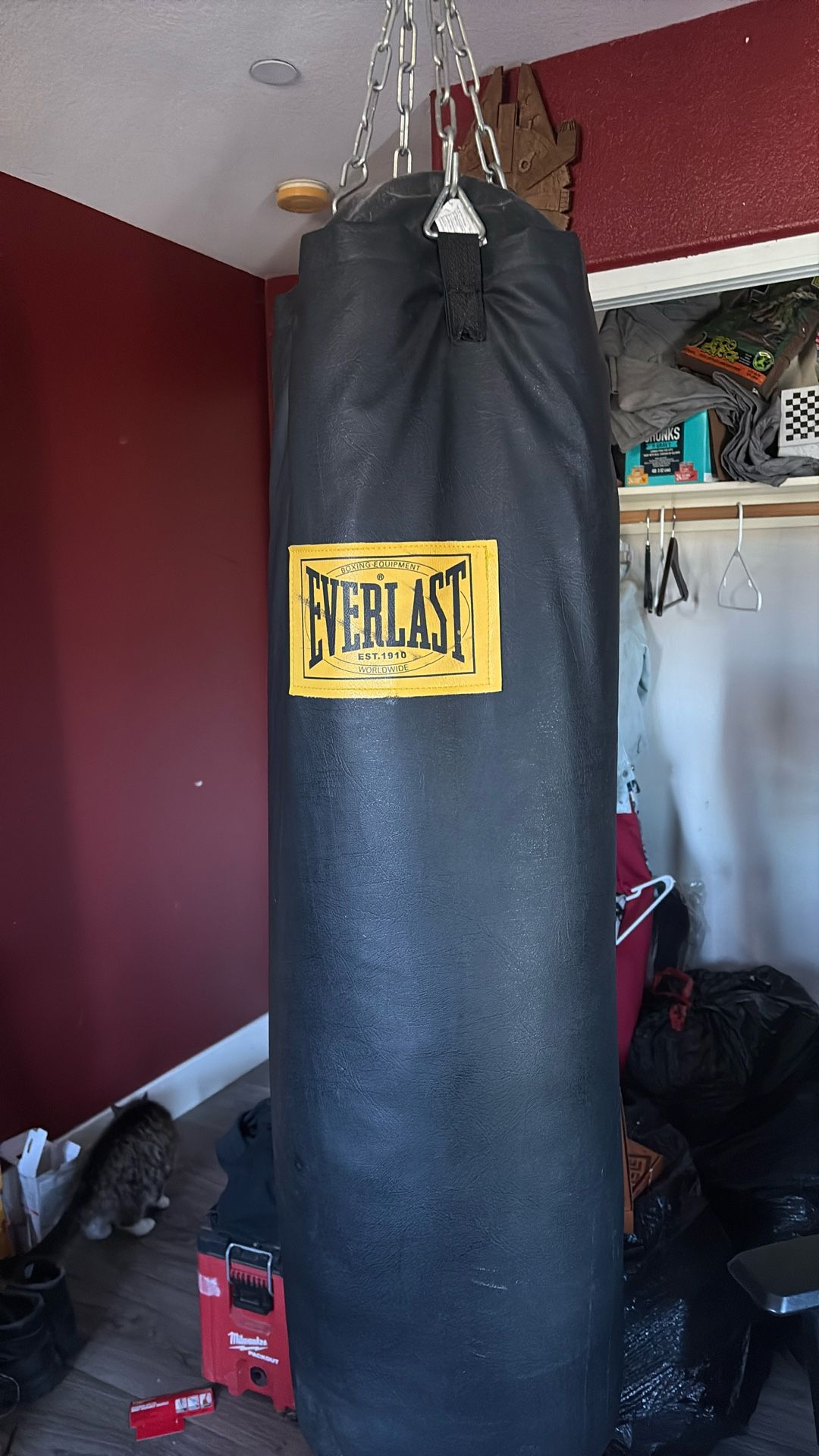 100 lbs everlast punching bag