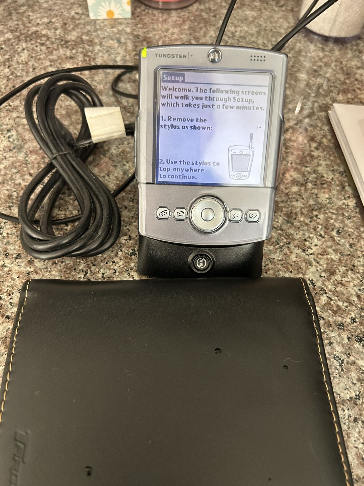 Palm Pilot