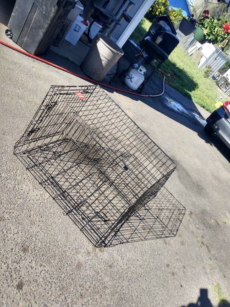 Dog Cage