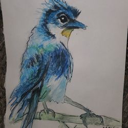 Watercolor PAINTING BLUE BIRD By Angel23 😇