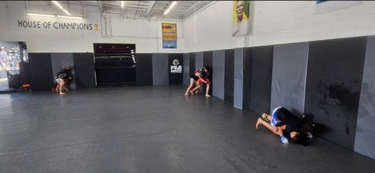 Jiujitsu Mats - Rolls 1,100 Sq Ft
