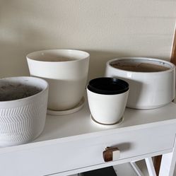 White Flower Pots 