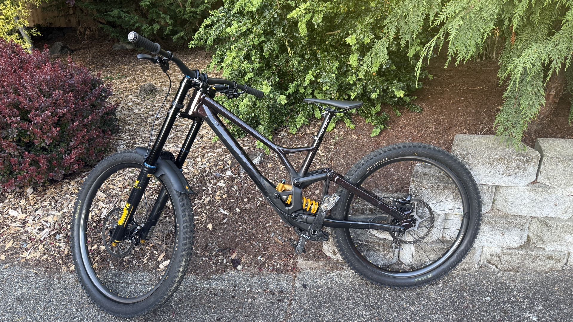 2023 Specialized Demo Race DH bike size S4