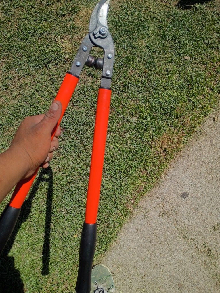 Pruning Scissors 