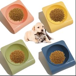 Pet Food Bowl