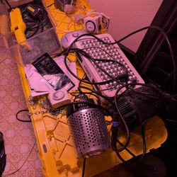 Indoor Hydroponic Growing Setup