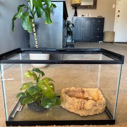 Glass Reptile Terrarium
