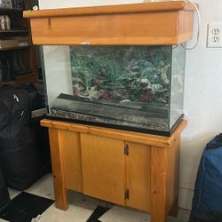 Big Fish Tank 