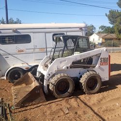 Bobcat Avaliable