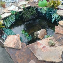 Free Feeder Fish, Triple F!