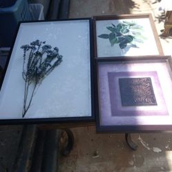 Wall Decorations 