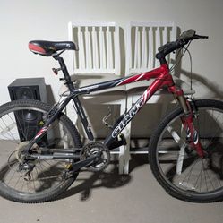 Giant Rincon Mountain Bike