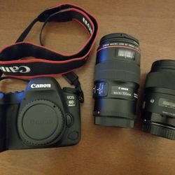 Camera: Canon 6d Mk ii + 100mm and 35mm Lenses