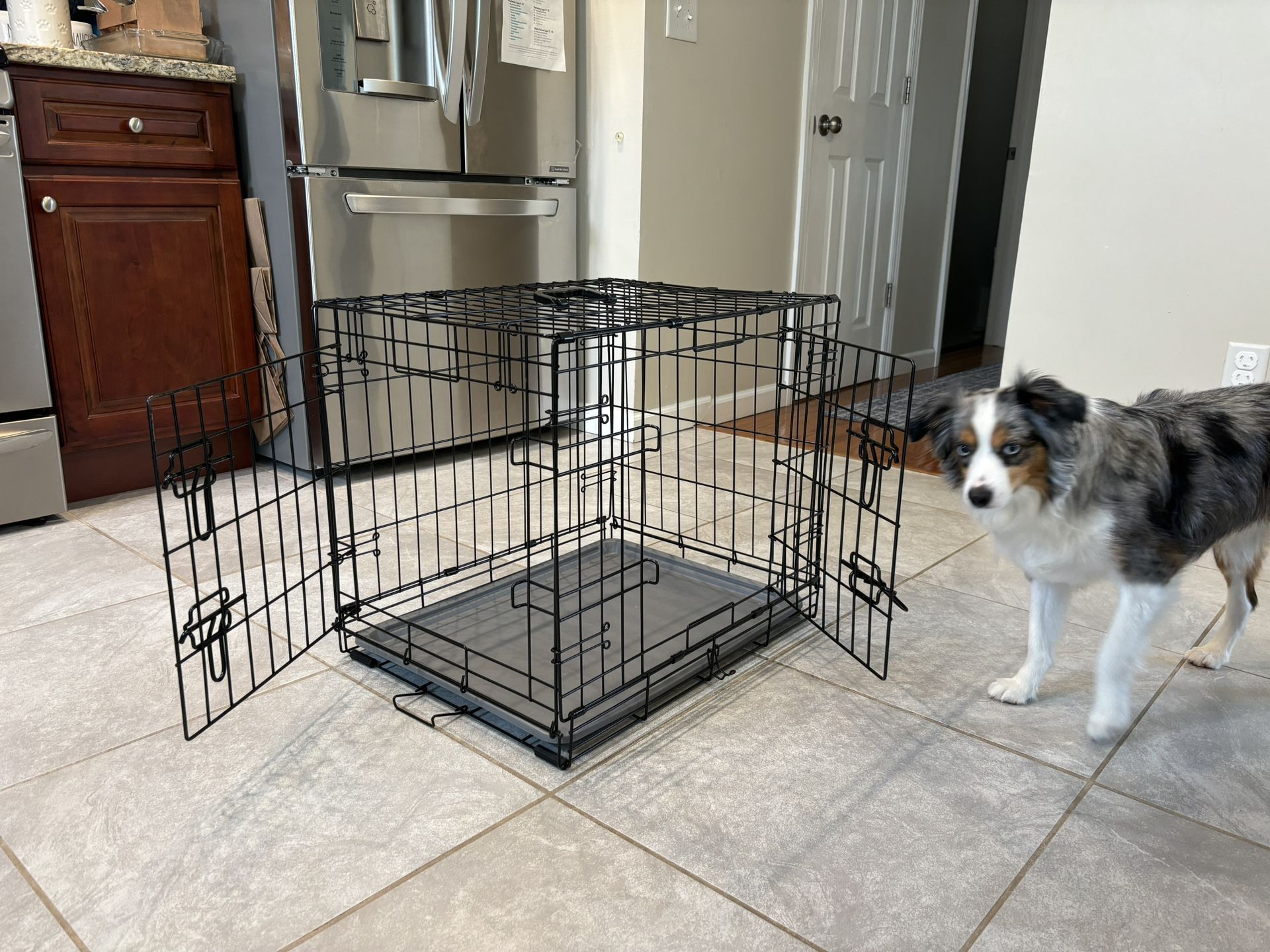 Dog training Crate Bundle 